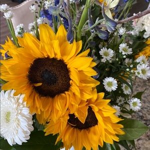 Meet your Posher, Stella